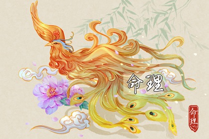 老皇历 择吉老黄历皇历 择吉老皇历